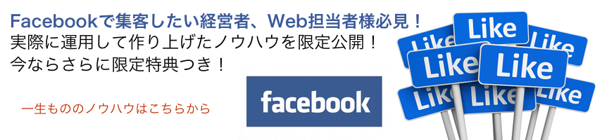 main Facebook広告による売上向上術